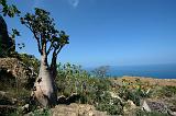 IMG_5454 panoramica da Hug Cave, Socotra